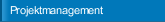 Projektmanagement